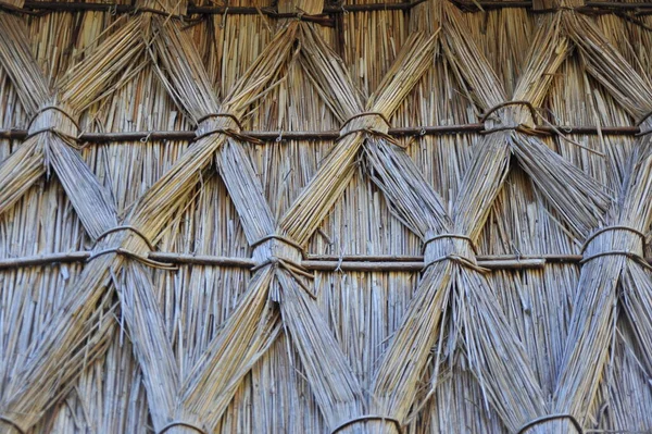 Közeli Ból Egy Bambusz Textúra — Stock Fotó
