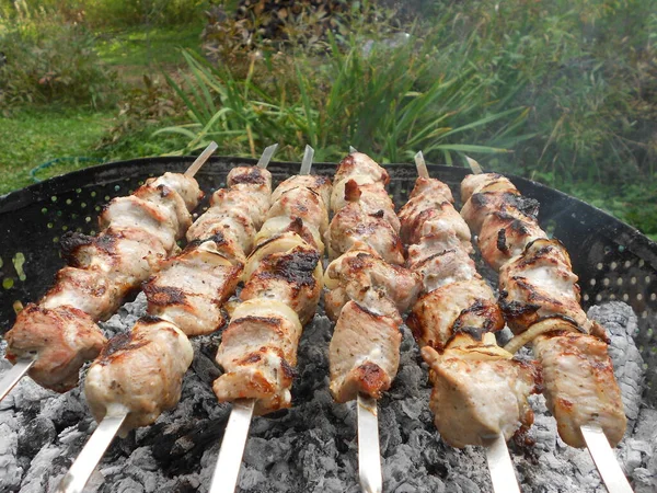 Carne Alla Griglia Vicino — Foto Stock