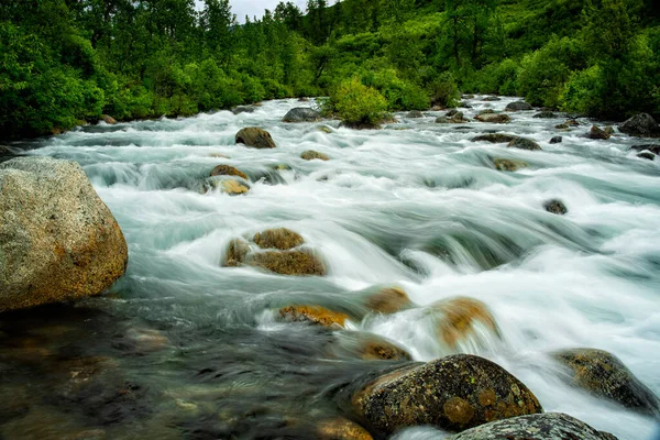 Beautiful Waterfall Forest — Stock Photo, Image