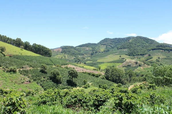 Green Hills Trees Mountains — Stock Photo, Image