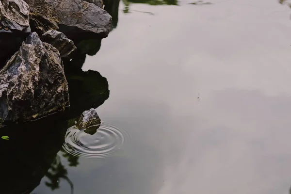 Маленькая Речка Воде — стоковое фото