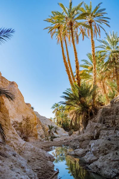 Belle Vue Sur Désert Dans Sahara Égypte — Photo