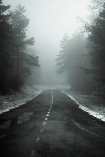 霧の中の霧の森の道 — ストック写真