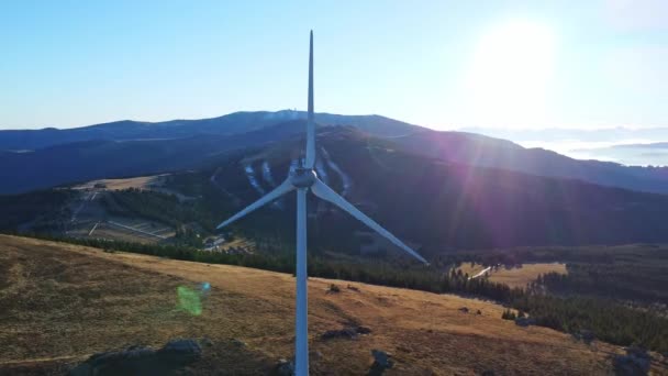 Éoliennes Dans Vert Dans Champ — Video