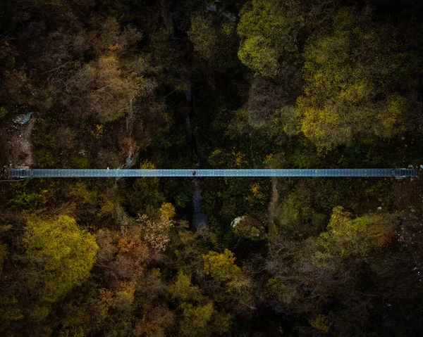 Aerial View Forest River — Stock Photo, Image