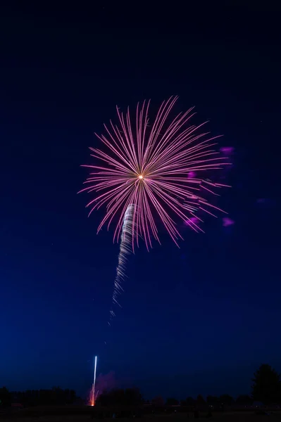 Fireworks Night Sky — Stock Photo, Image