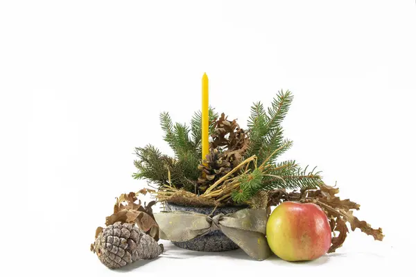 Kerstversiering Met Dennenappels Dennenboom Tak — Stockfoto