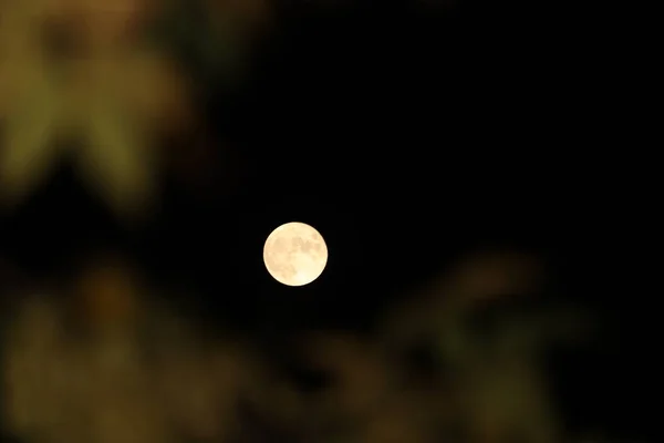 Luna Nel Cielo Notturno — Foto Stock