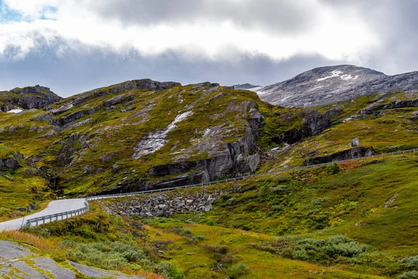 山を背景にした緑の芝生の美しいノルウェーの風景 — ストック写真