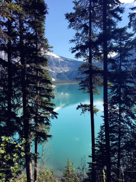 Прекрасный Вид Озеро — стоковое фото