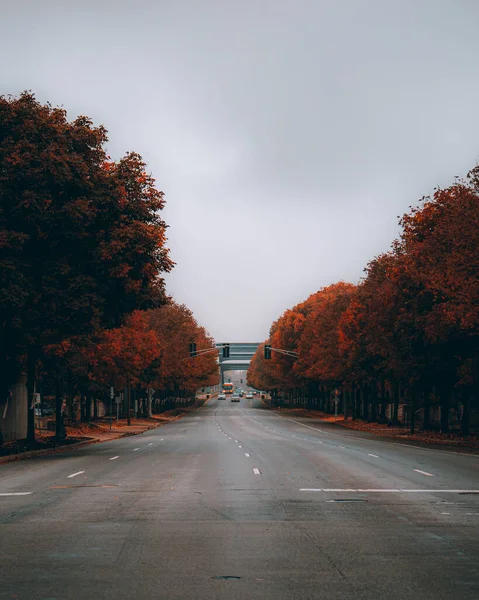 Красивый Осенний Пейзаж Деревьями Листьями — стоковое фото