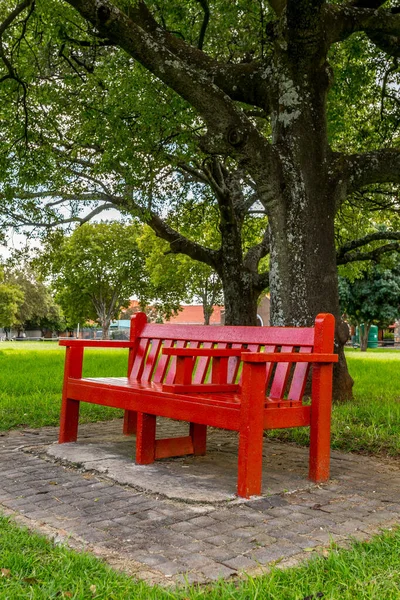 公园里的红色长椅 — 图库照片