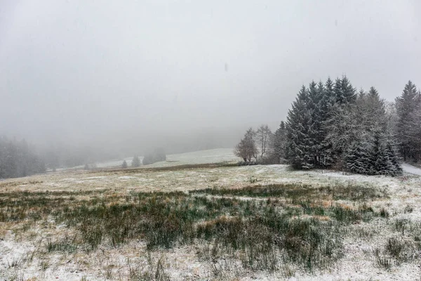 Paisagem Inverno Floresta Montesa — Fotografia de Stock