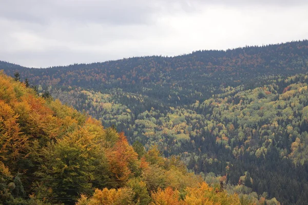 Осенний Пейзаж Горным Лесом — стоковое фото