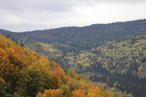 Paysage Automne Avec Forêt Montagne — Photo