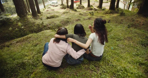 Gruppe Von Freunden Vergnügt Sich Gemeinsam Park — Stockfoto