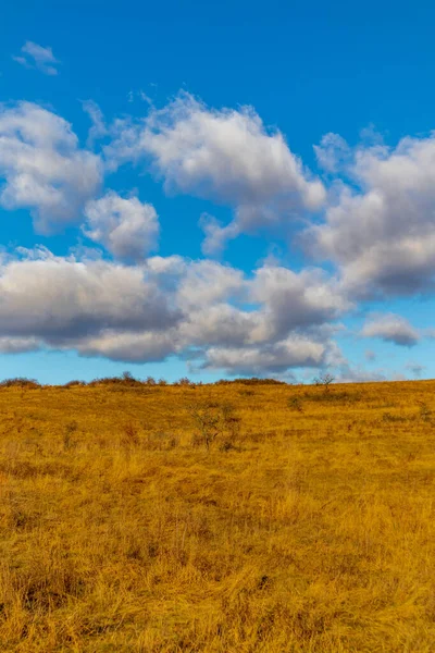 Piękny Krajobraz Polem Błękitnego Nieba — Zdjęcie stockowe