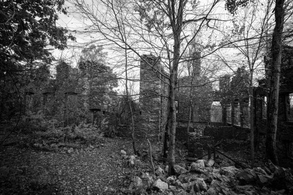 Vecchio Ponte Legno Nel Bosco — Foto Stock