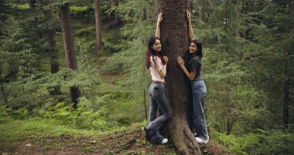 Junges Verliebtes Paar Wald — Stockfoto