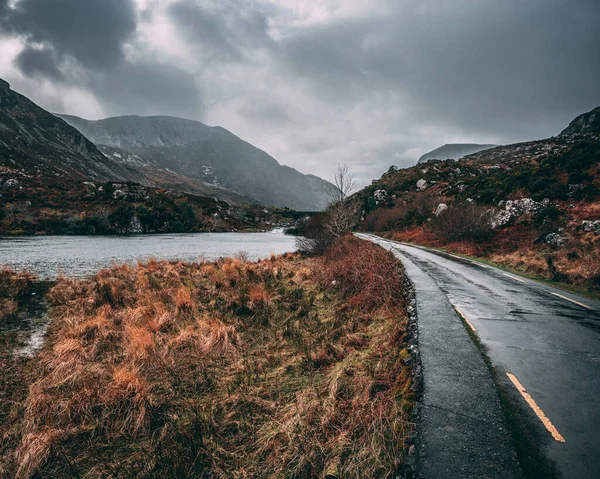 山の中の道路 — ストック写真