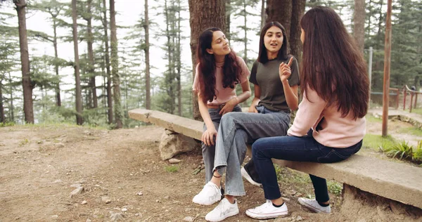 Grupo Amigos Adolescentes Bosque —  Fotos de Stock