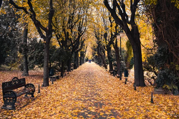市内の秋の公園 — ストック写真