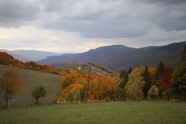 Красивий Осінній Пейзаж Деревами Горами — стокове фото