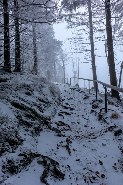 Paysage Hivernal Forêt Montagne — Photo