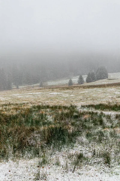 Paysage Hivernal Forêt Montagne — Photo