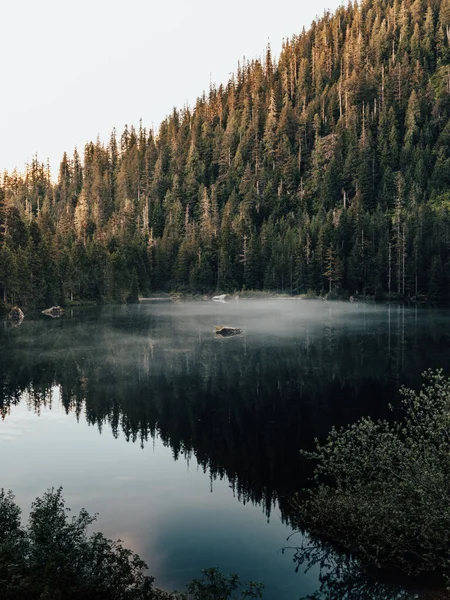 Красивый Пейзаж Озером Лесом — стоковое фото