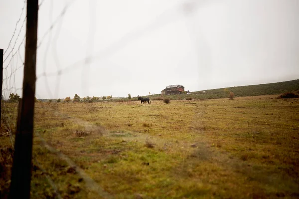 Krásný Výhled Přírodu — Stock fotografie