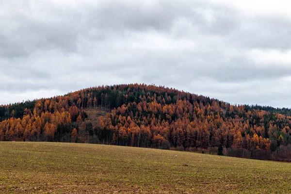 Vista Panorámica Del Bosque Otoño Las Montañas —  Fotos de Stock