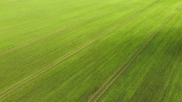 コムギ畑や農作物のある緑の畑の空中風景 — ストック写真