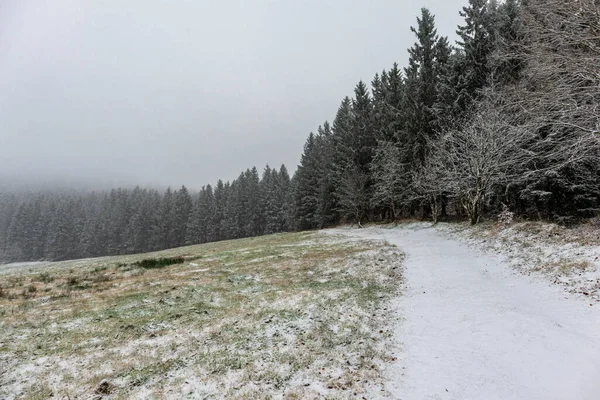 Paysage Hivernal Forêt Montagne — Photo