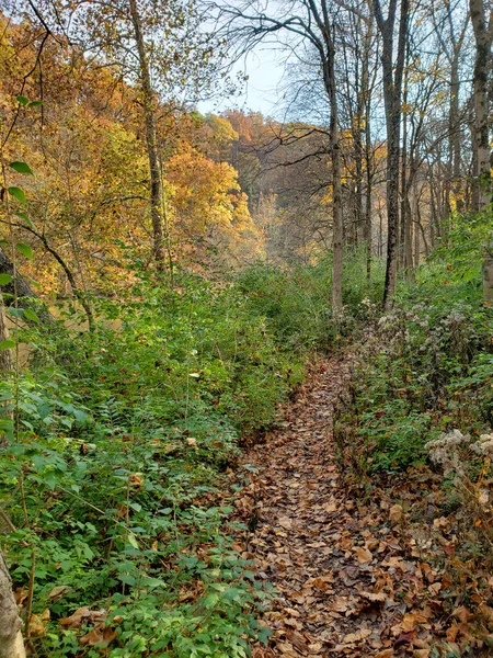 Highbanks Metro Park River Bluff Area Autumn Columbus Ohio — Fotografia de Stock