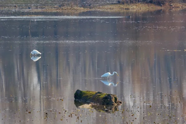 Fischerboote Auf Dem Fluss — Stockfoto