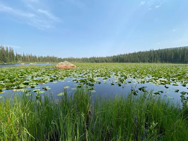 Bellissimo Paesaggio Con Fiume Lago — Foto Stock