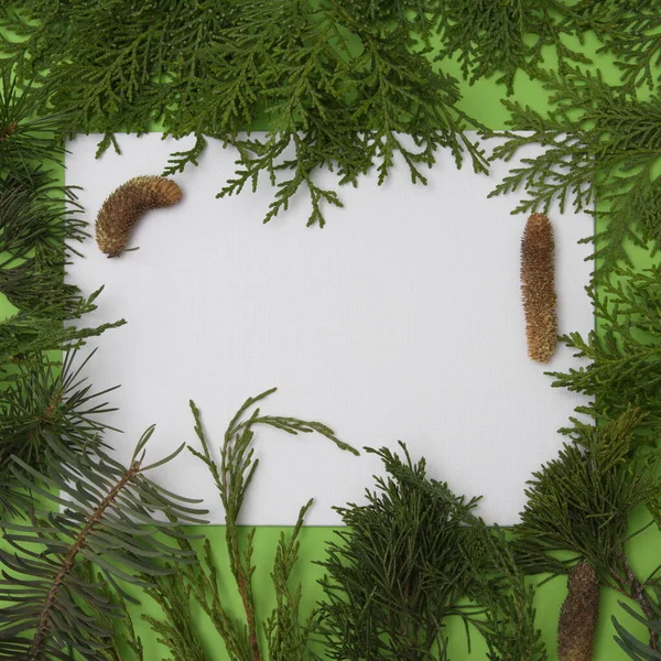 Fondo Navidad Con Ramas Abeto Conos Pino Una Mesa Madera —  Fotos de Stock