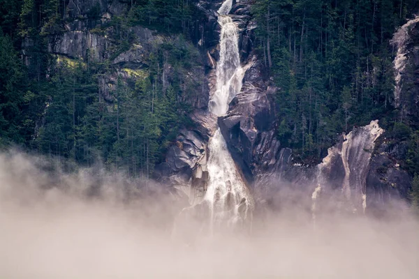 森の中の美しい滝 — ストック写真