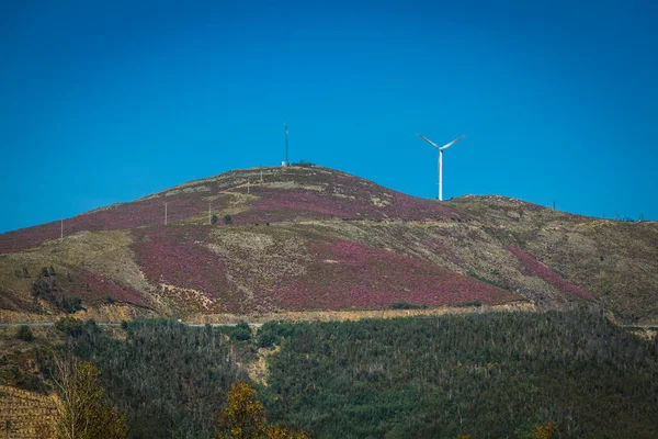 Wind Turbines Background Mountains — Stock Photo, Image