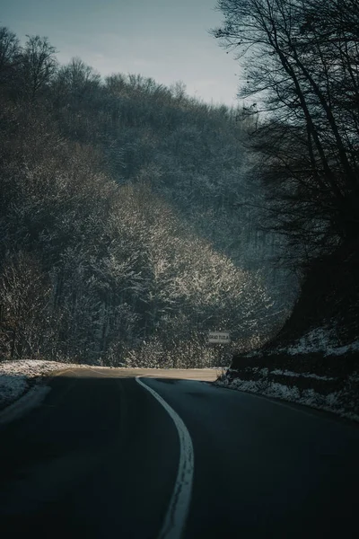 Route Dans Forêt — Photo