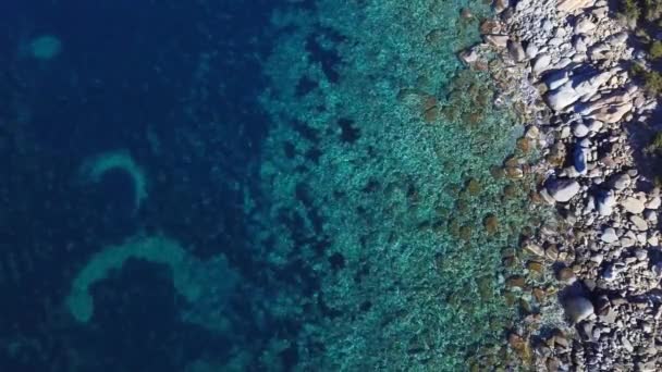 Bela Vista Subaquática Mar — Vídeo de Stock