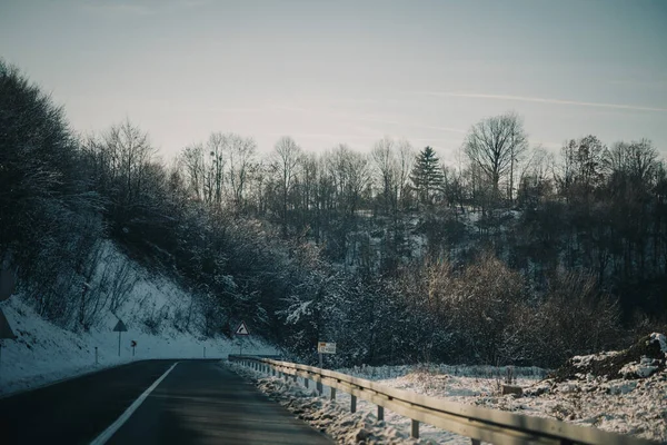 森林中的道路 — 图库照片