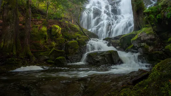 Cachoeira Floresta — Fotografia de Stock