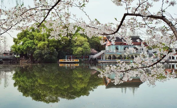 Schöner Blick Auf Die Stadt Des Parks Morgen — Stockfoto