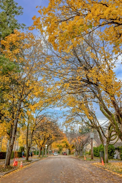 Podzimní Krajina Stromy Listy — Stock fotografie