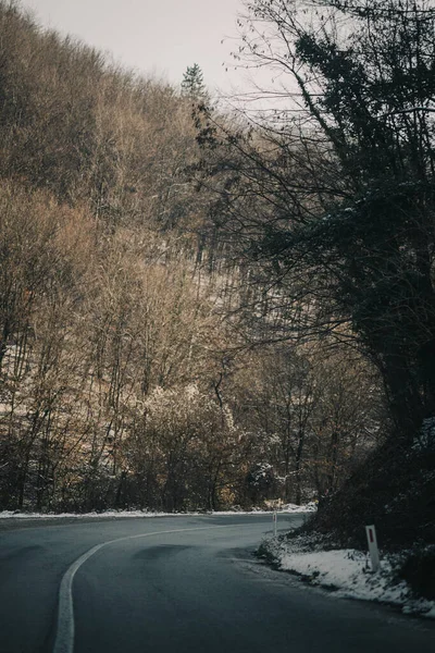 Route Dans Forêt — Photo