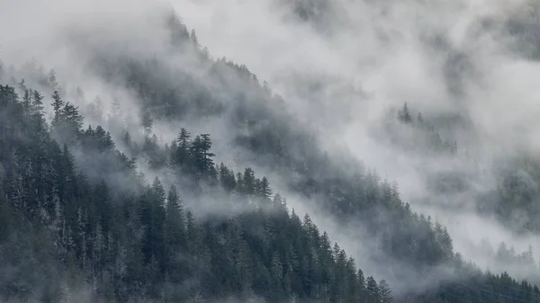 Туманное Утро Горах — стоковое фото