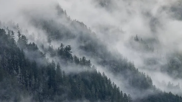 Nebliger Morgen Den Bergen — Stockfoto