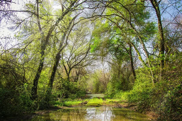 Krásný Výhled Řeku Parku — Stock fotografie